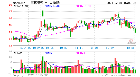 雪祺电气