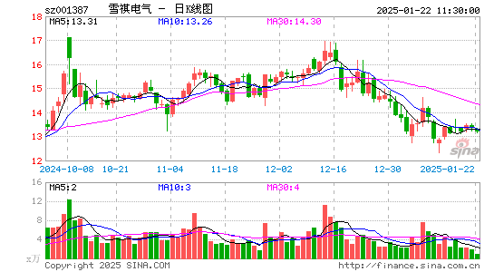 雪祺电气