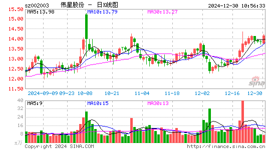 伟星股份