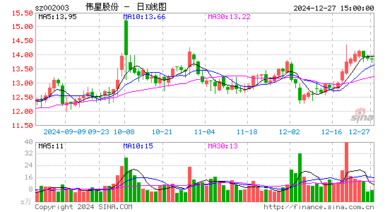 伟星股份