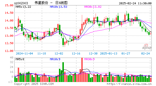 伟星股份