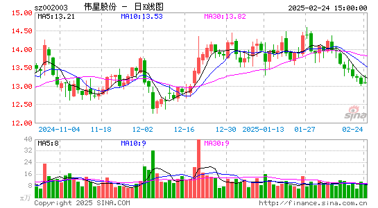 伟星股份