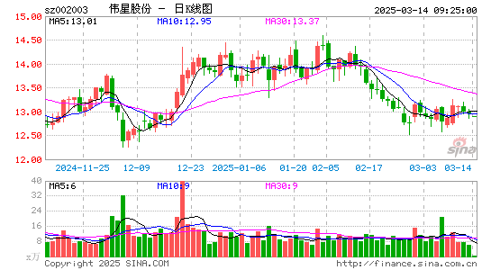 伟星股份