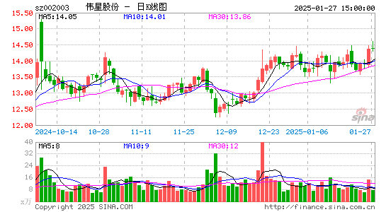 伟星股份