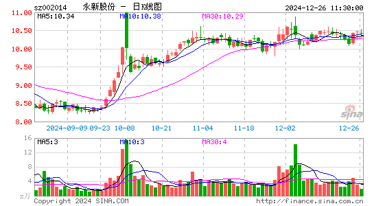 永新股份