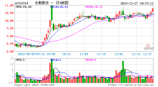 永新股份