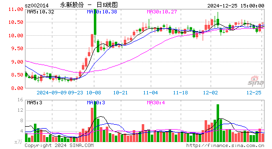 永新股份