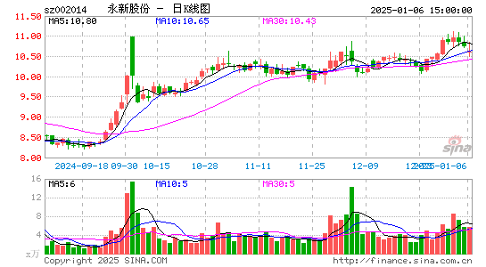 永新股份