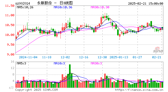 永新股份