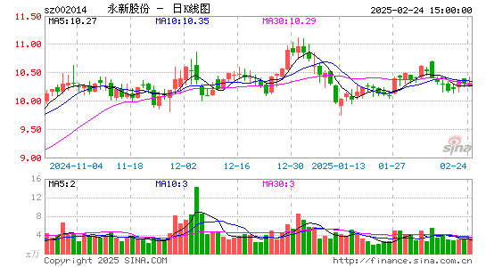 永新股份