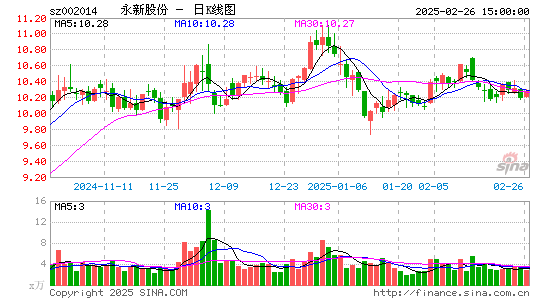 永新股份