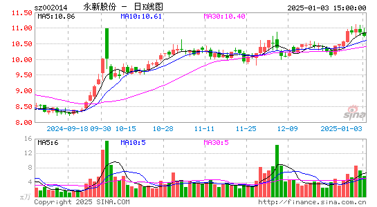 永新股份