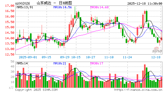 ɽ������