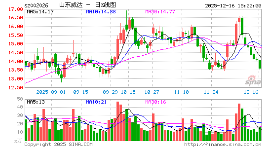 ɽ������