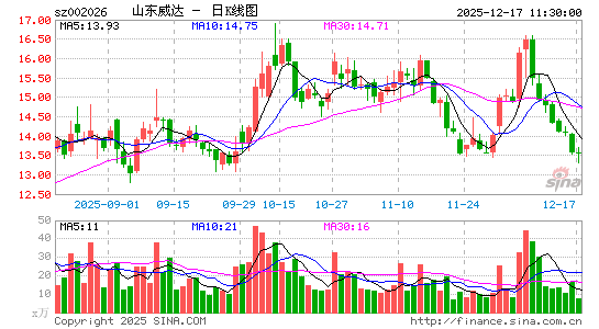 ɽ������