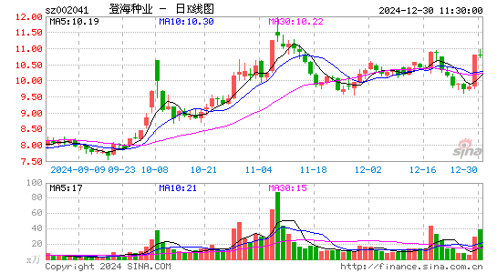 登海种业