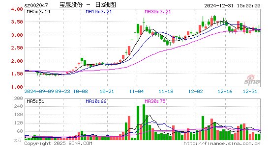 宝鹰股份