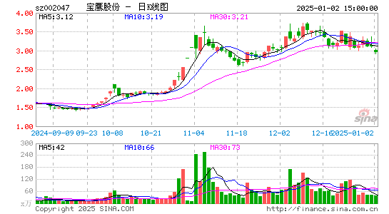 宝鹰股份