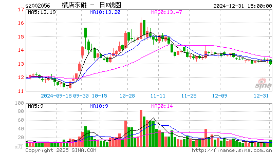 横店东磁