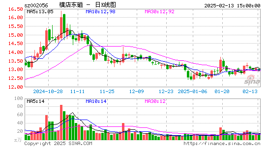 横店东磁