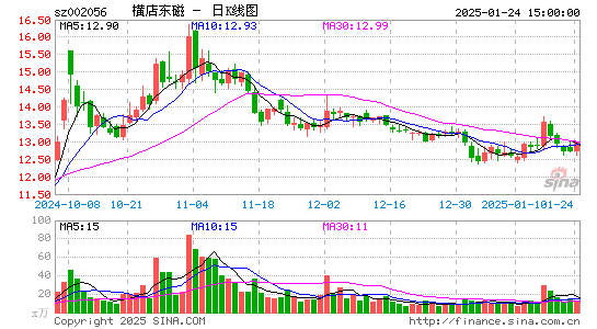 横店东磁