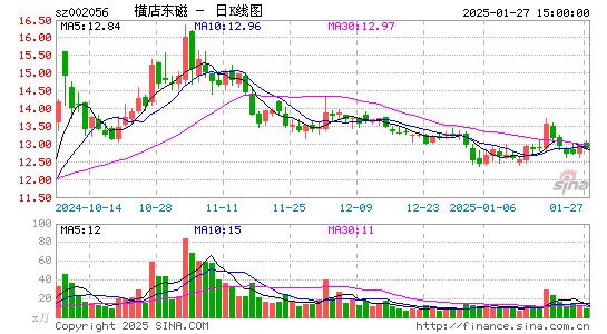 横店东磁