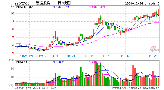 黑猫股份