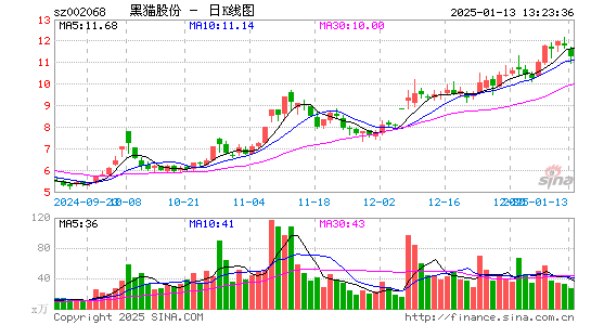 黑猫股份