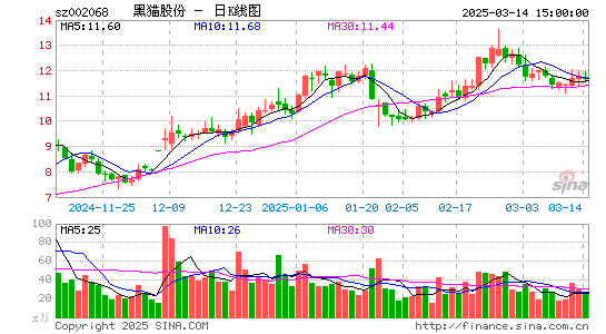 黑猫股份