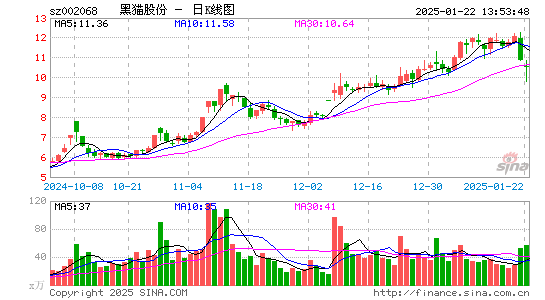 黑猫股份