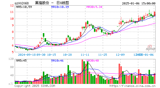 黑猫股份