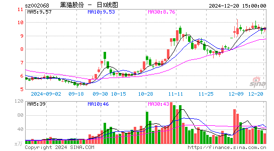 黑猫股份