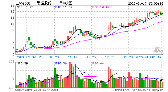 黑猫股份