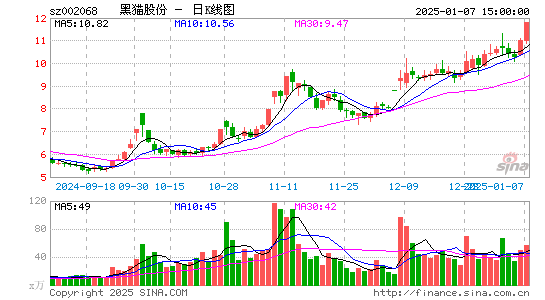 黑猫股份