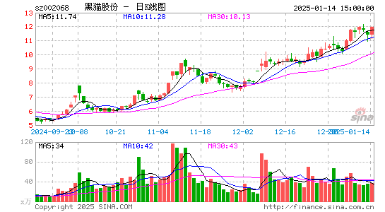 黑猫股份