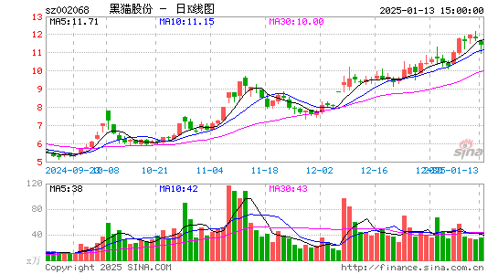 黑猫股份