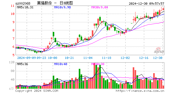 黑猫股份