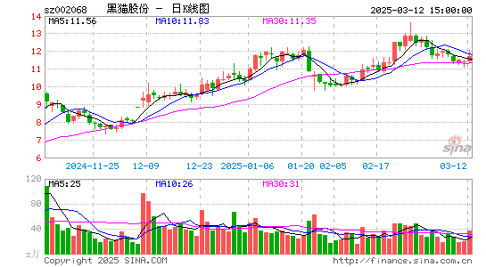 黑猫股份