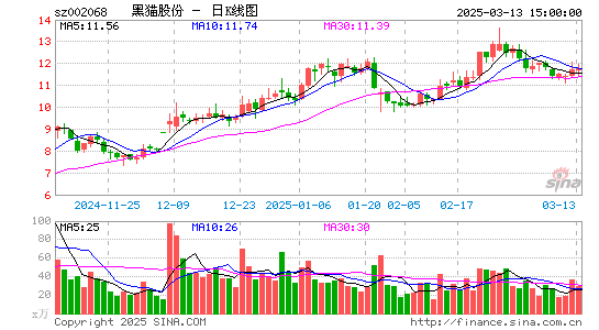 黑猫股份