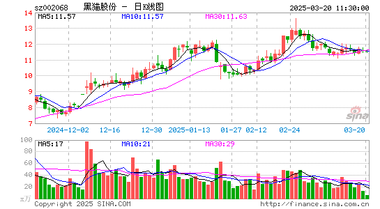 黑猫股份