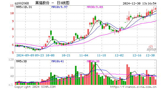 黑猫股份