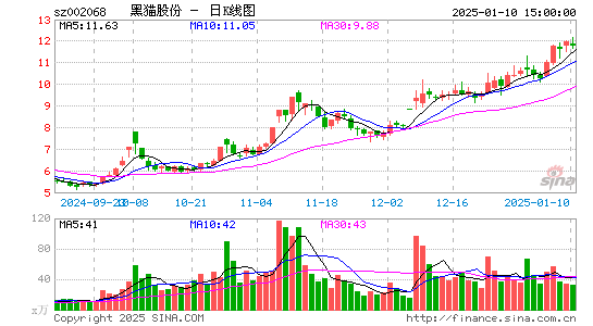 黑猫股份