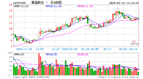 黑猫股份