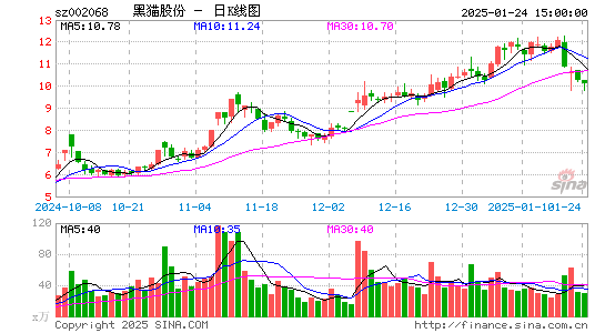 黑猫股份