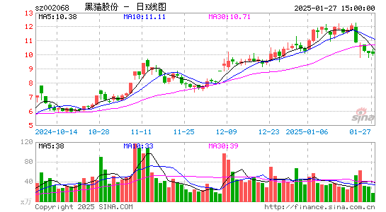 黑猫股份