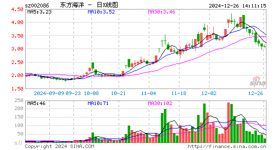 ST东洋