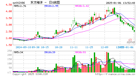 ST东洋