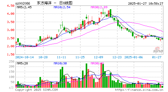 ST东洋