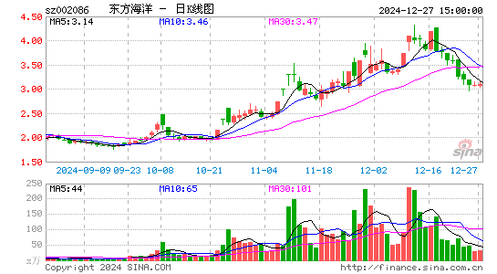 ST东洋