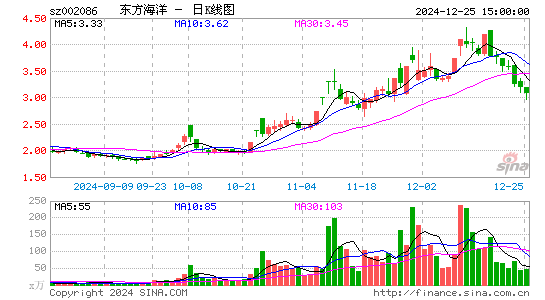 ST东洋